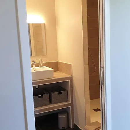 Apartment Le Loft De Centre Bourg, Entre Eurexpo Et St Exupery Genas