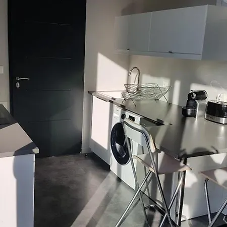 Apartment Le Loft De Centre Bourg, Entre Eurexpo Et St Exupery