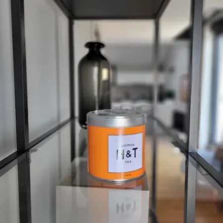 Apartment Le Loft De Centre Bourg, Entre Eurexpo Et St Exupery *