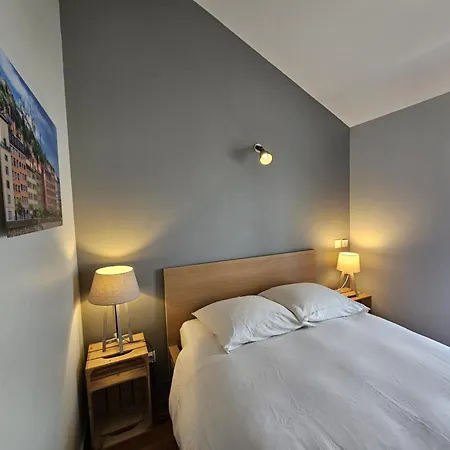 Le Loft De - L'atelier Et La Apartment Genas