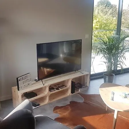 Le Loft De - L'atelier Et La Genas
