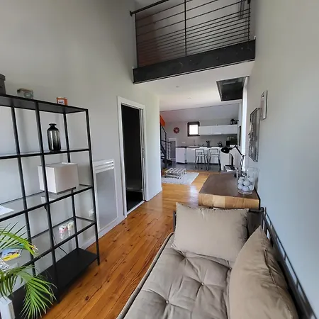 Le Loft De Centre Bourg, Entre Eurexpo Et St Exupery Apartment *