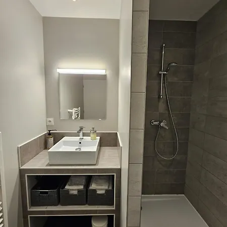 Apartament Le Loft De Centre Bourg Genas