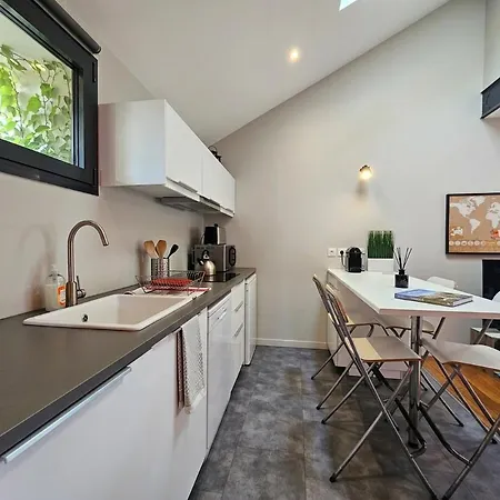 Apartment Le Loft De Centre Bourg, Entre Eurexpo Et St Exupery Genas
