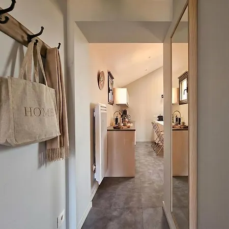 Apartment Le Loft De Centre Bourg, Entre Eurexpo Et St Exupery