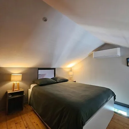 Apartment Le Loft De Centre Bourg, Entre Eurexpo Et St Exupery Genas