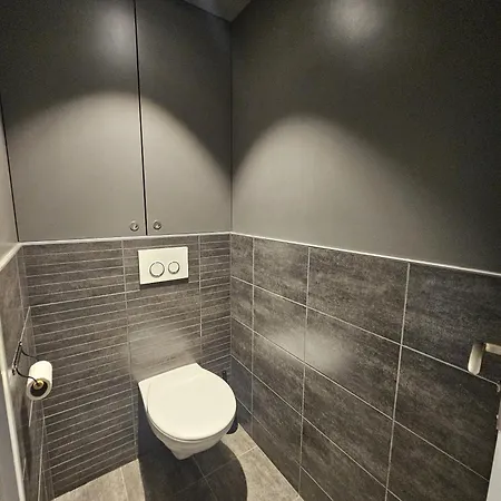 Apartment Le Loft De Centre Bourg, Entre Eurexpo Et St Exupery *